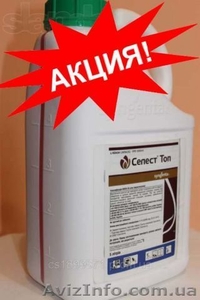 Селест топ 312, 5 купить,  Селест топ 312, 5 продажа,  Селест топ 312, 5 цена