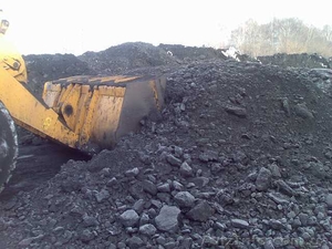 Энергетическая – Инвестиционная Компания предлагает бурый уголь - <ro>Изображение</ro><ru>Изображение</ru> #4, <ru>Объявление</ru> #1295249
