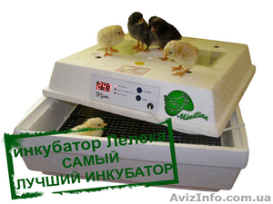 Инкубаторы Лелека для яиц - <ro>Изображение</ro><ru>Изображение</ru> #1, <ru>Объявление</ru> #1319068