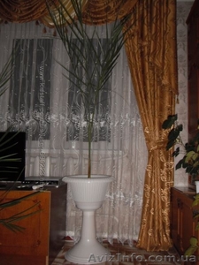 финиковая пальма 12 лет в горшочке на высокой ножке - <ro>Изображение</ro><ru>Изображение</ru> #2, <ru>Объявление</ru> #1494185