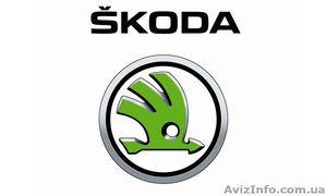 Компьютерная диагностика всех автомобилей марки Skoda - <ro>Изображение</ro><ru>Изображение</ru> #1, <ru>Объявление</ru> #1586081
