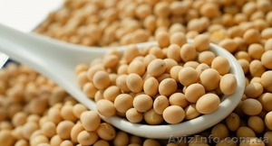 Закупка сои по всей Украине,  дорого