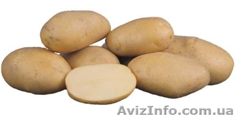 Продам картофель,морковь.свеклу - <ro>Изображение</ro><ru>Изображение</ru> #1, <ru>Объявление</ru> #52122