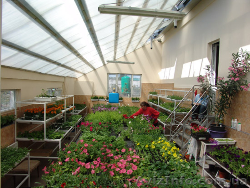 Садовый центр Оазис Черкассы - <ro>Изображение</ro><ru>Изображение</ru> #3, <ru>Объявление</ru> #126132