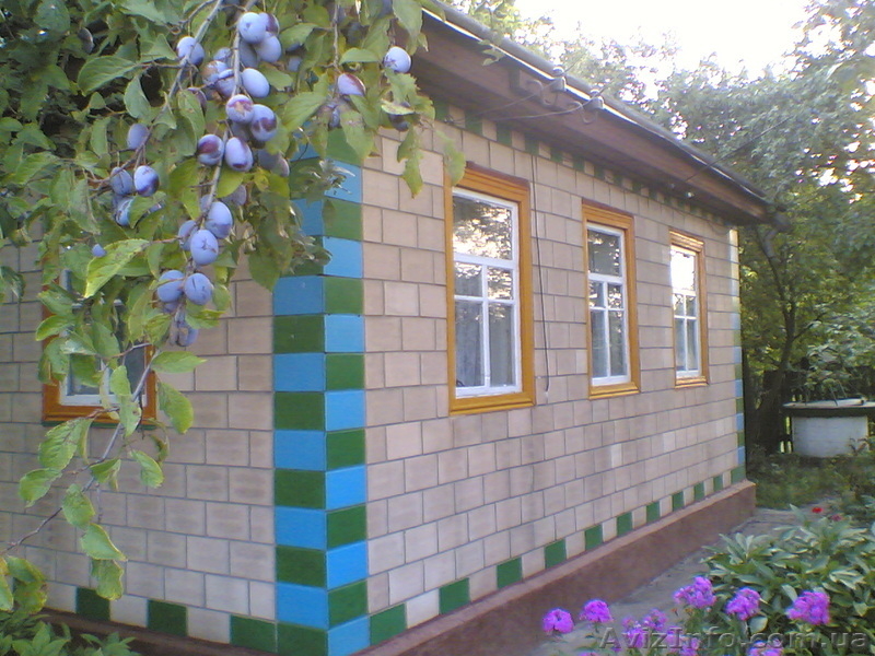 Продается дом 6х10м. в с.Куцовка, Смелянского р-на, Черкасской обл. - <ro>Изображение</ro><ru>Изображение</ru> #3, <ru>Объявление</ru> #205602