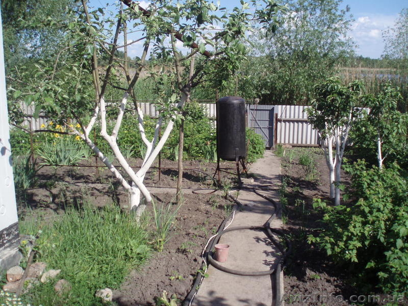 Два дома на одном участке  в г.Смела.Черкасская обл. - <ro>Изображение</ro><ru>Изображение</ru> #1, <ru>Объявление</ru> #304313