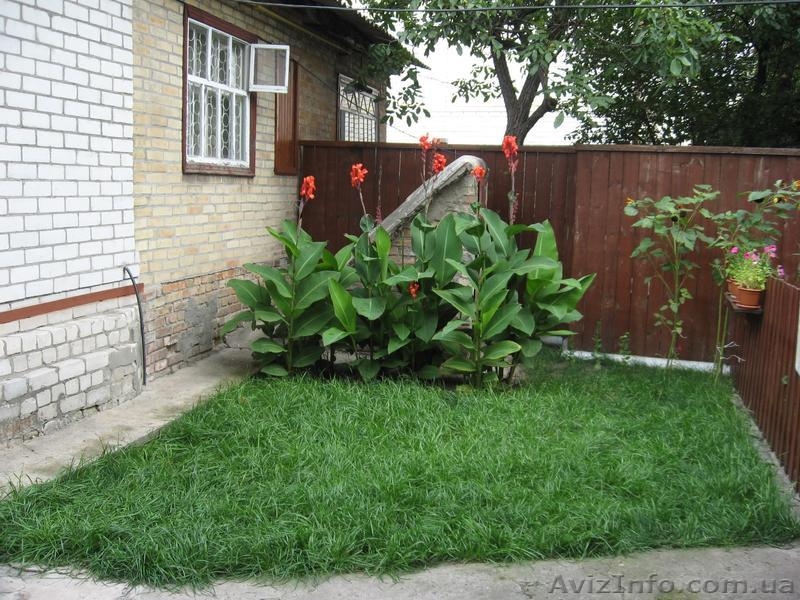  1/2 дома   - <ro>Изображение</ro><ru>Изображение</ru> #4, <ru>Объявление</ru> #358372