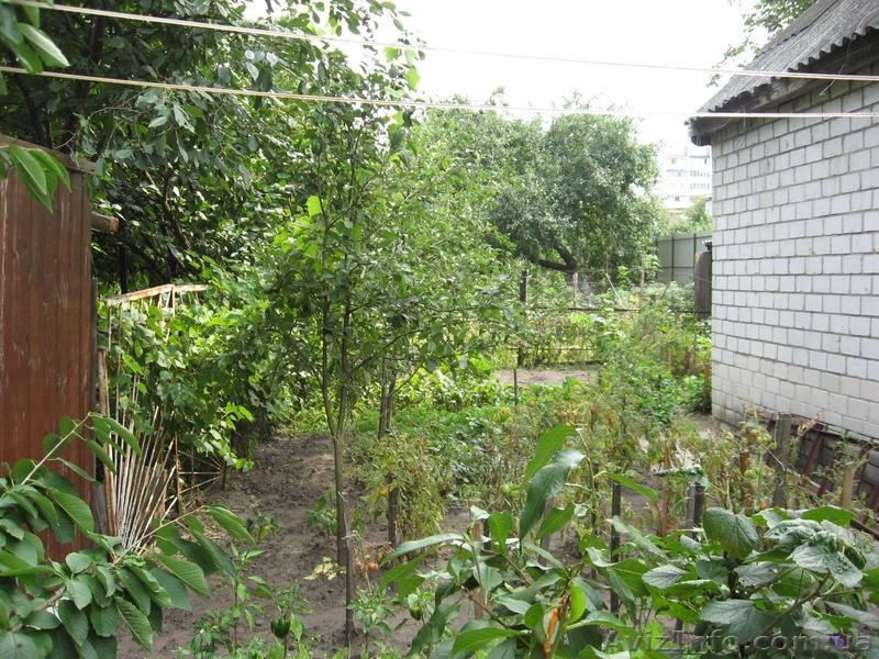  1/2 дома   - <ro>Изображение</ro><ru>Изображение</ru> #5, <ru>Объявление</ru> #358372