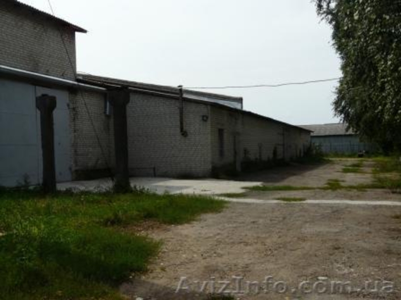 Пропонується до продажу готовий бізнес в с. Мошни  - <ro>Изображение</ro><ru>Изображение</ru> #1, <ru>Объявление</ru> #373262