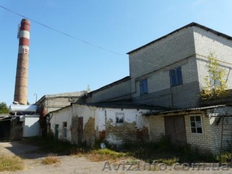Продадим помещение бывшего хлебозавода в г. Каменка (Черкасская обл.) - <ro>Изображение</ro><ru>Изображение</ru> #7, <ru>Объявление</ru> #399015