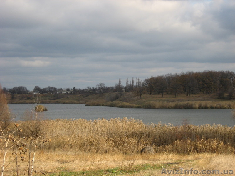 Оксана ksynya-83@mail.ru 0631335409 - <ro>Изображение</ro><ru>Изображение</ru> #1, <ru>Объявление</ru> #451859