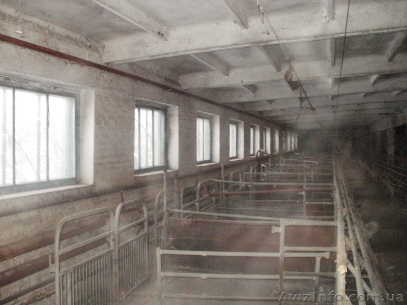 свинарник под розборку - <ro>Изображение</ro><ru>Изображение</ru> #9, <ru>Объявление</ru> #484290