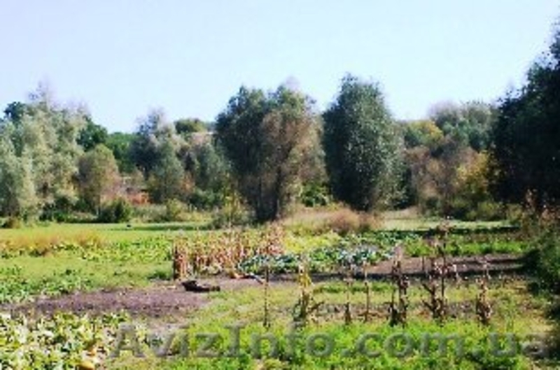 Продам дом возле Каменки Черкасской области - <ro>Изображение</ro><ru>Изображение</ru> #4, <ru>Объявление</ru> #630787