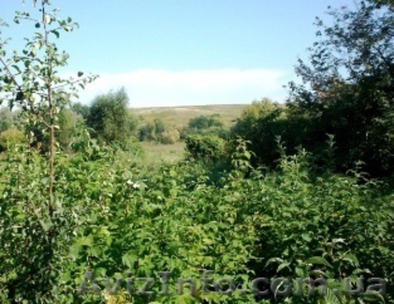 Продам дом возле Каменки Черкасской области - <ro>Изображение</ro><ru>Изображение</ru> #5, <ru>Объявление</ru> #630787