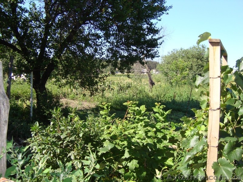 Продам будинок у с. Руська Поляна - <ro>Изображение</ro><ru>Изображение</ru> #6, <ru>Объявление</ru> #727272