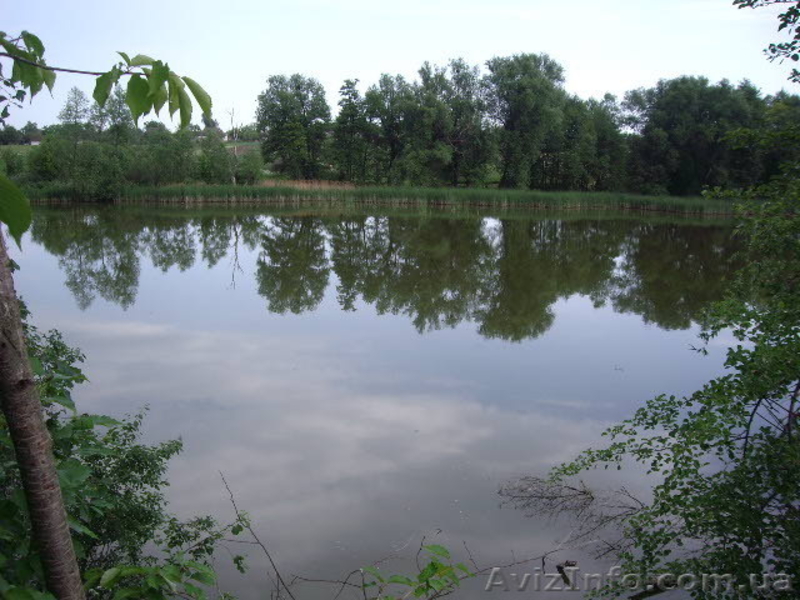 Продам дом в с. Севастьяновка, Кристиновский район, 32 сотки - <ro>Изображение</ro><ru>Изображение</ru> #8, <ru>Объявление</ru> #717214