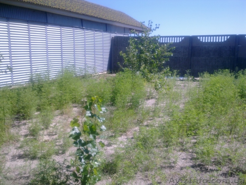 продам дом на причале №5 - <ro>Изображение</ro><ru>Изображение</ru> #4, <ru>Объявление</ru> #718879