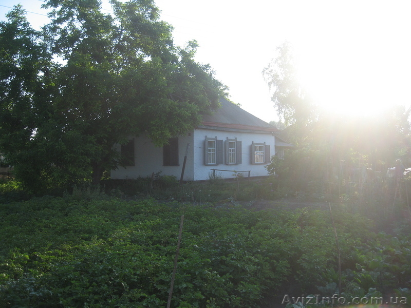 Дом в г.Золотоноша срочно продам. Хозяин - <ro>Изображение</ro><ru>Изображение</ru> #3, <ru>Объявление</ru> #723671