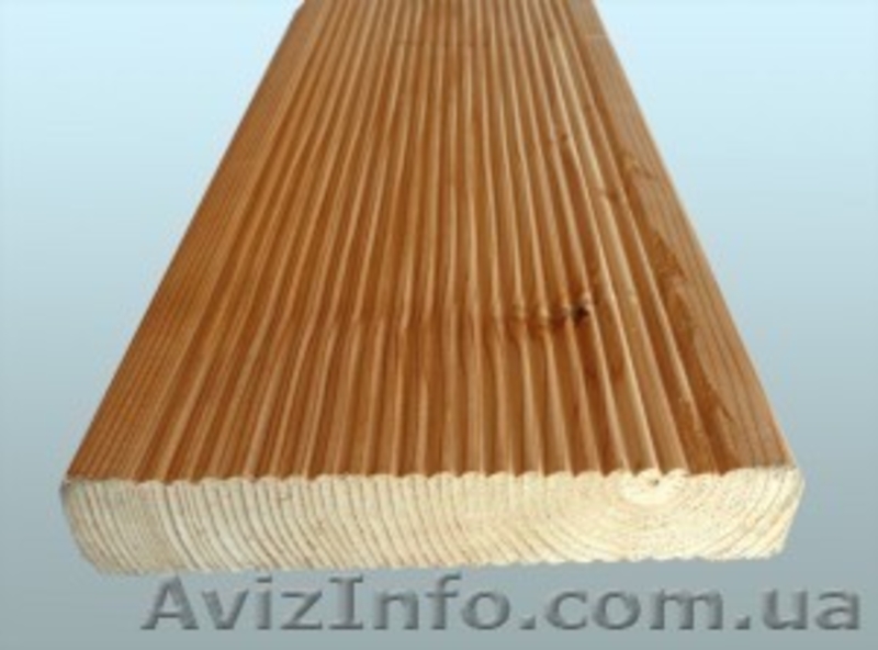 Лиственница сибирская Черкассы Украина - <ro>Изображение</ro><ru>Изображение</ru> #3, <ru>Объявление</ru> #153154