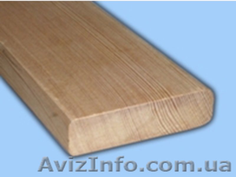 Лиственница сибирская Черкассы Украина - <ro>Изображение</ro><ru>Изображение</ru> #4, <ru>Объявление</ru> #153154