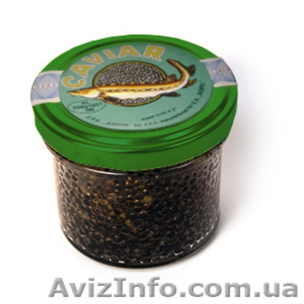Икра черная осетровая белужья (белуги) - <ro>Изображение</ro><ru>Изображение</ru> #3, <ru>Объявление</ru> #741033
