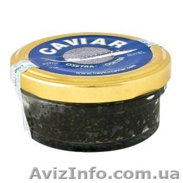 Икра черная осетровая белужья (белуги) - <ro>Изображение</ro><ru>Изображение</ru> #1, <ru>Объявление</ru> #741033