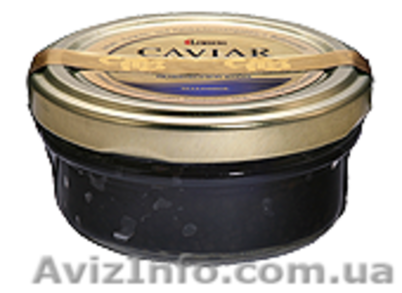 Икра черная осетровая белужья (белуги) - <ro>Изображение</ro><ru>Изображение</ru> #6, <ru>Объявление</ru> #741033