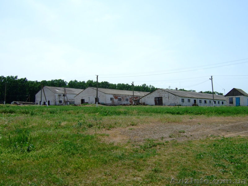 Продажа Фермы. Земли промышленного назначения. - <ro>Изображение</ro><ru>Изображение</ru> #4, <ru>Объявление</ru> #778663