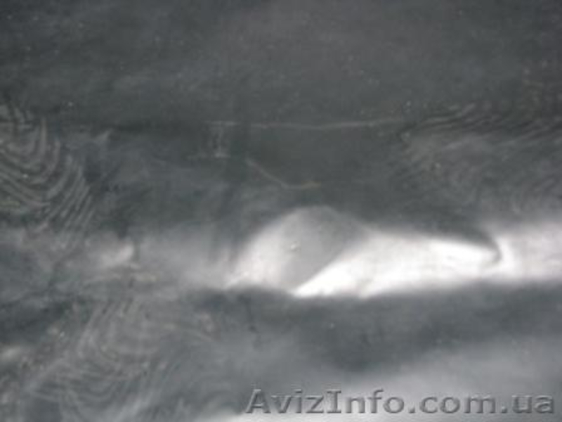 Мотор и лодка ПРОДАМ - <ro>Изображение</ro><ru>Изображение</ru> #9, <ru>Объявление</ru> #791902