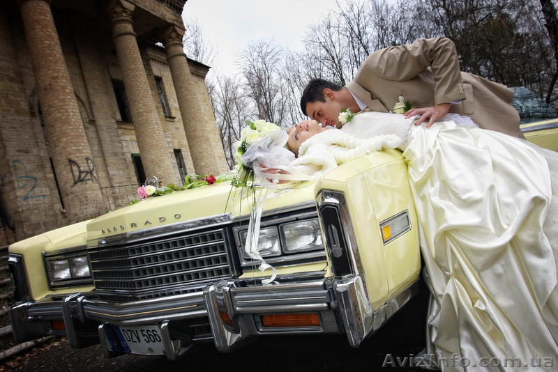 Видеосъемка свадьбы в высоком качестве! - <ro>Изображение</ro><ru>Изображение</ru> #8, <ru>Объявление</ru> #791705