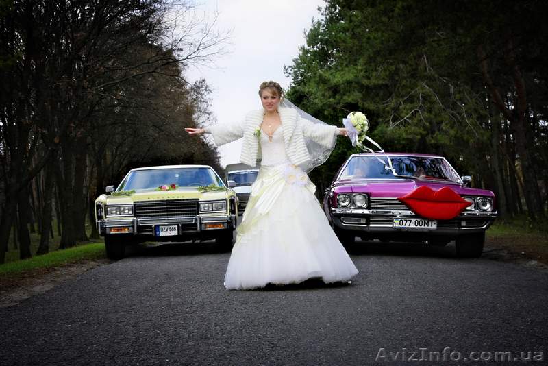 Відеозйомка вашого весілля! - <ro>Изображение</ro><ru>Изображение</ru> #7, <ru>Объявление</ru> #791711