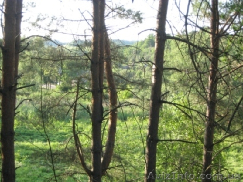 Продам добротный дом - <ro>Изображение</ro><ru>Изображение</ru> #8, <ru>Объявление</ru> #897517