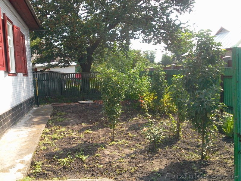 Продажа дом Черкассы - <ro>Изображение</ro><ru>Изображение</ru> #5, <ru>Объявление</ru> #852349