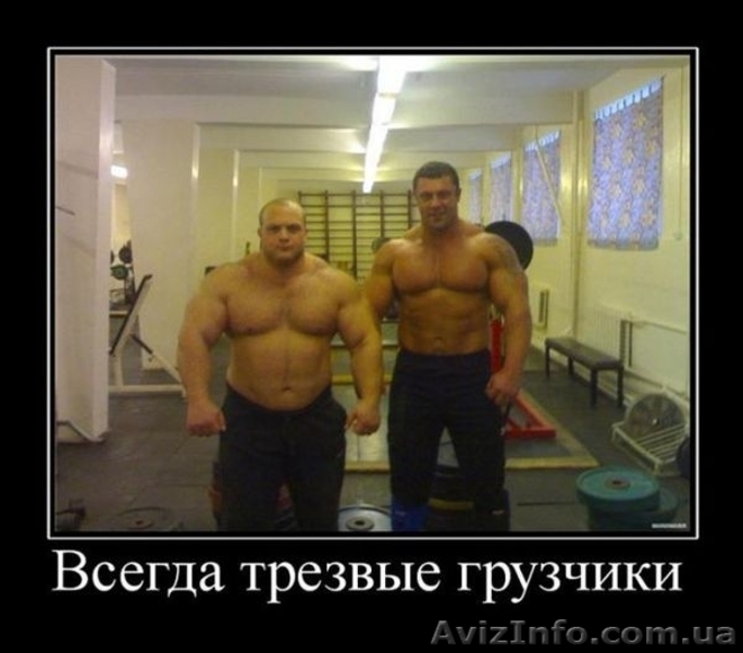 АВТОГРУЗОПЕРЕВОЗКИ ЧЕРКАССЫ. ГРУЗОВОЕ  ТАКСИ - <ro>Изображение</ro><ru>Изображение</ru> #3, <ru>Объявление</ru> #950628