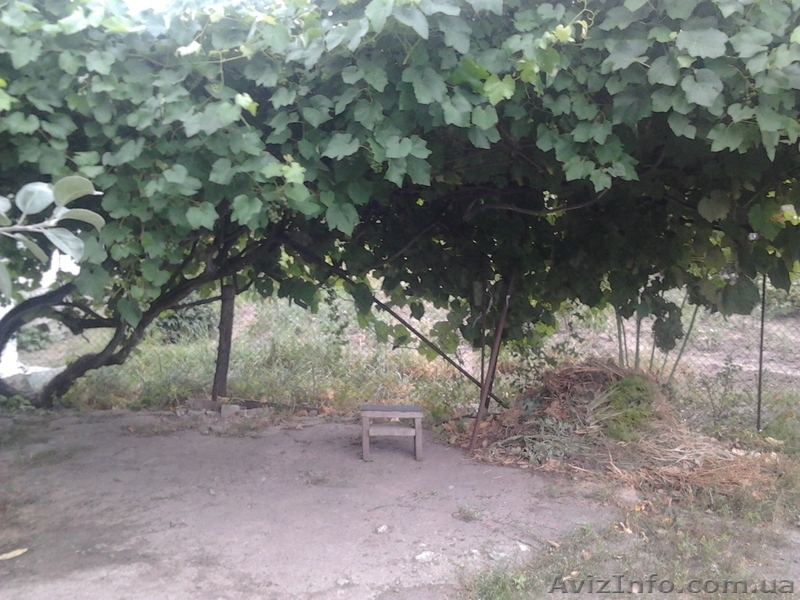 Продам дом в с. Руська Поляна - <ro>Изображение</ro><ru>Изображение</ru> #9, <ru>Объявление</ru> #955652