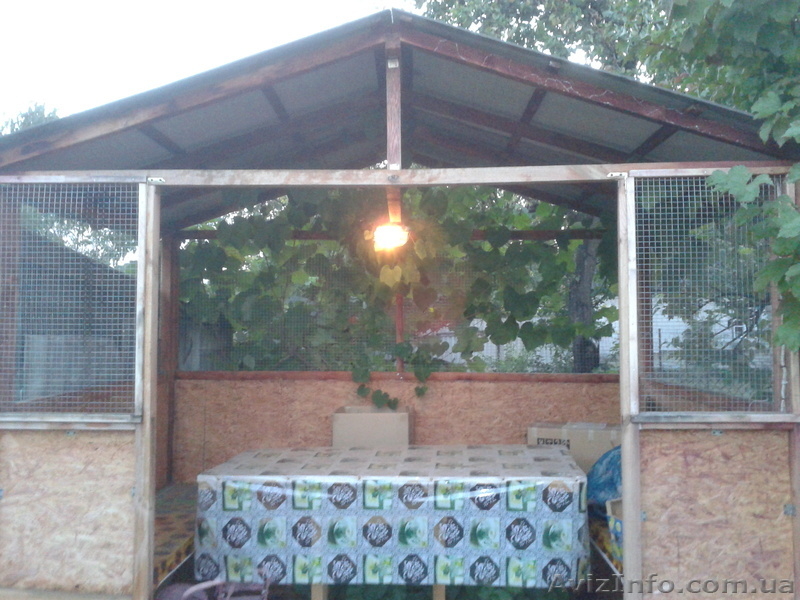 Продам дом по ул. Коммунаров - <ro>Изображение</ro><ru>Изображение</ru> #1, <ru>Объявление</ru> #968301