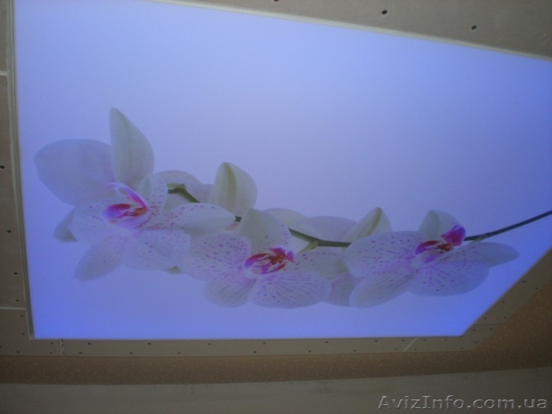 Натяжные потолки г. Умань - <ro>Изображение</ro><ru>Изображение</ru> #3, <ru>Объявление</ru> #995193