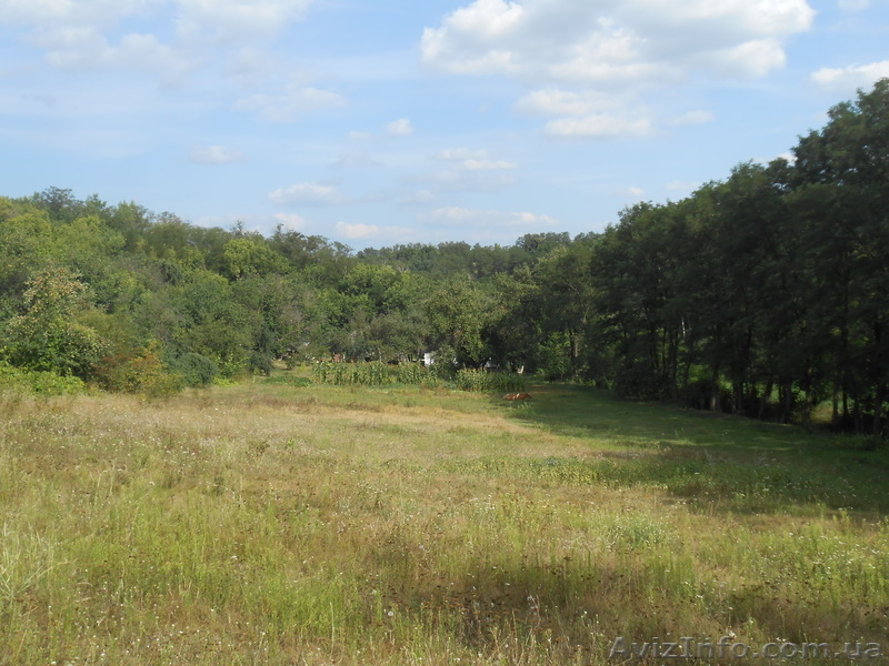 Продам дом с землей, под Каневом - <ro>Изображение</ro><ru>Изображение</ru> #6, <ru>Объявление</ru> #1011036