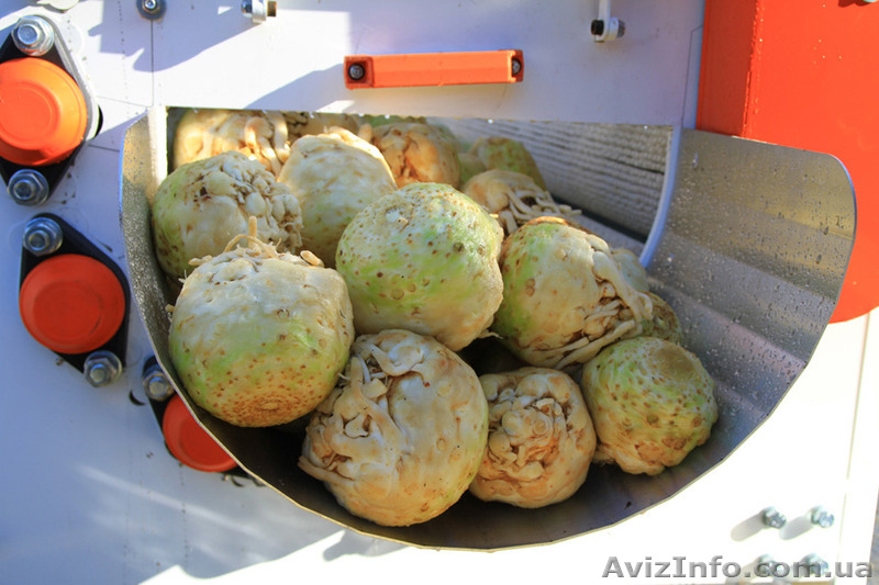  Полировщик (мойка) для овощей  - <ro>Изображение</ro><ru>Изображение</ru> #3, <ru>Объявление</ru> #1091857