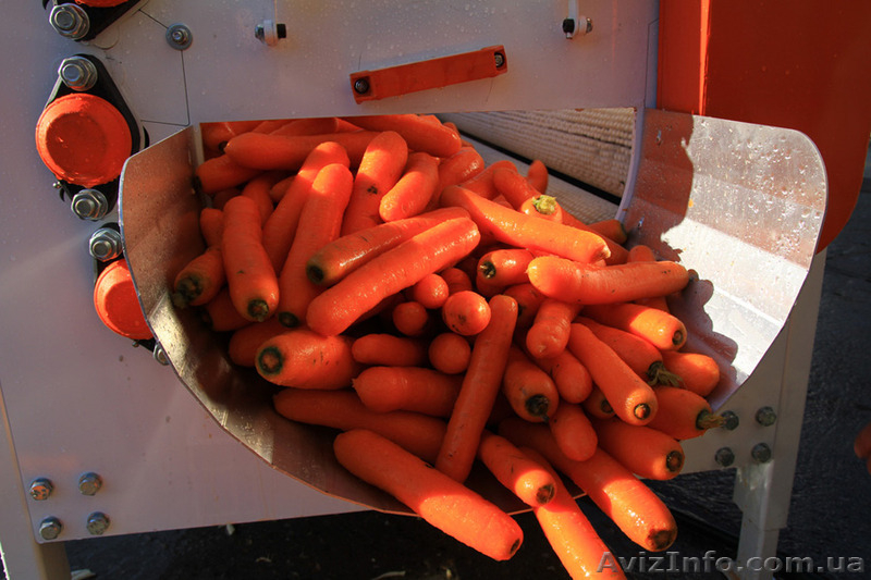  Полировщик (мойка) для овощей  - <ro>Изображение</ro><ru>Изображение</ru> #2, <ru>Объявление</ru> #1091857