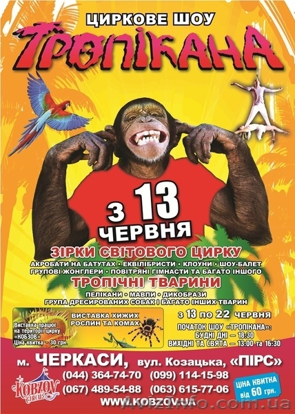 Цирк "Кобзов" в Черкассах представляет-новое цирковое шоу «Тропикана» - <ro>Изображение</ro><ru>Изображение</ru> #1, <ru>Объявление</ru> #1094655