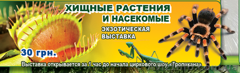 Цирк "Кобзов" в Черкассах представляет-новое цирковое шоу «Тропикана» - <ro>Изображение</ro><ru>Изображение</ru> #2, <ru>Объявление</ru> #1094655
