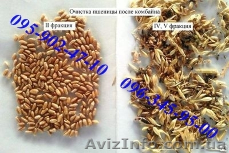 Продам сепаратор зерна (чистка/калібровка) IСМ-10/5 ТМ ТОР - <ro>Изображение</ro><ru>Изображение</ru> #7, <ru>Объявление</ru> #1230952