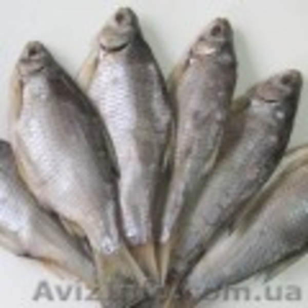 Продам рыбу вяленую копченую                                                     - <ro>Изображение</ro><ru>Изображение</ru> #2, <ru>Объявление</ru> #1328501