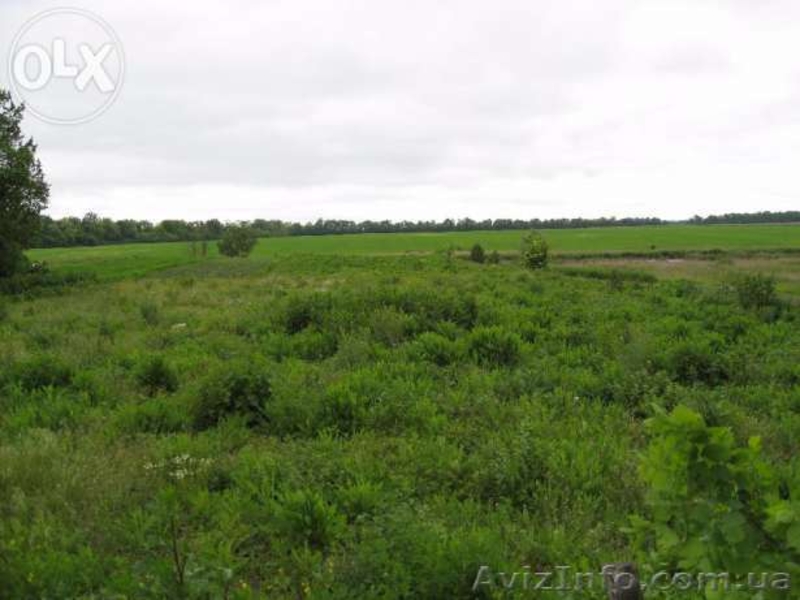 Продам в живописном месте участок Нехворощ, Корсунь-шевченківський р-н  - <ro>Изображение</ro><ru>Изображение</ru> #3, <ru>Объявление</ru> #1007128