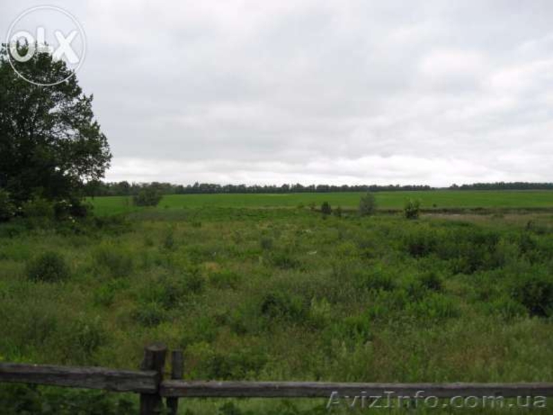 Продам в живописном месте участок Нехворощ, Корсунь-шевченківський р-н  - <ro>Изображение</ro><ru>Изображение</ru> #1, <ru>Объявление</ru> #1007128