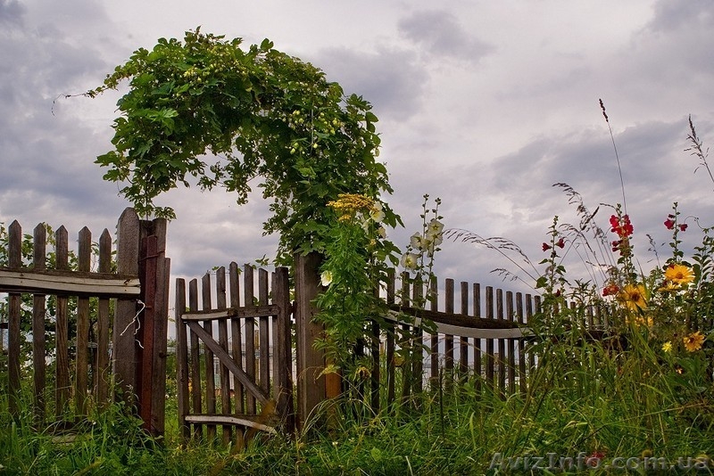 Продам дачные участки. - <ro>Изображение</ro><ru>Изображение</ru> #2, <ru>Объявление</ru> #925991