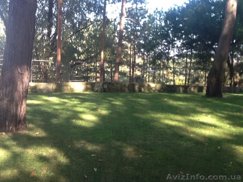 К Вашему вниманию предлагается VIP коттедж на Днепре в лесу пляж 800м.  - <ro>Изображение</ro><ru>Изображение</ru> #9, <ru>Объявление</ru> #1378290