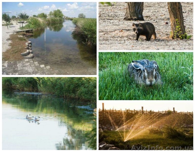 Цены на жилье и отдых в Бердянске, частный сектор Гостевой дом Светлана - <ro>Изображение</ro><ru>Изображение</ru> #3, <ru>Объявление</ru> #1439357