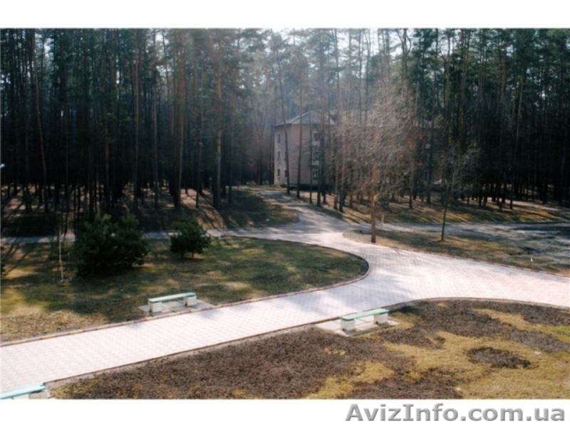 Продам санаторий на берегу Днепра (10 км от г. Черкассы). - <ro>Изображение</ro><ru>Изображение</ru> #5, <ru>Объявление</ru> #1468433